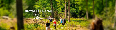 das bild zeigt eine gruppe, die durch den wald geht - langsam, jede person achtsam, man spürt ihre neue art, im wald wahrzunehmen - wald yoga mit myoga.de