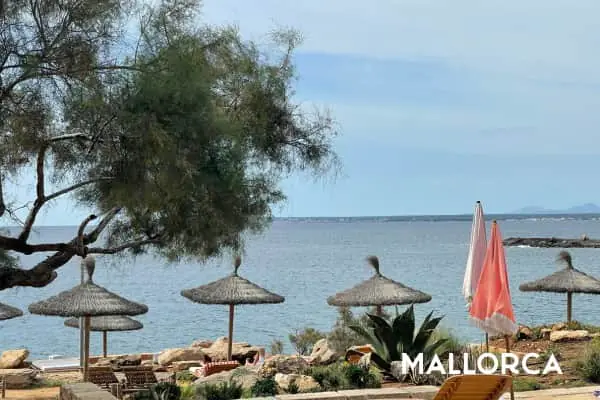 personal yoga retreat berlin myoga de (2)